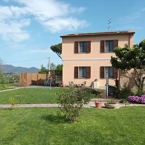 Appartamento Podere 660 Il Salice, Marrucheto